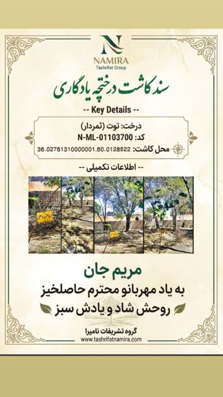 کاشت درخت و نهال-اموات-درختچه یادگاری-نامیرا
