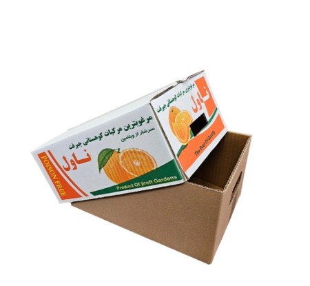 کارتن پرتقال صادراتی،  لیبل پرتقال