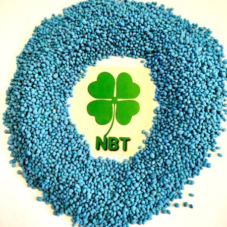 Types of Coated Seeds (Coated) for Cold and Temperate Climates
