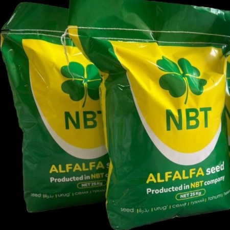 Types of Coated Seeds (Coated) for Cold and Temperate Climates