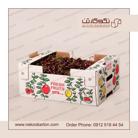 کارتن گیلاس صادراتی