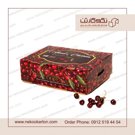 کارتن گیلاس صادراتی