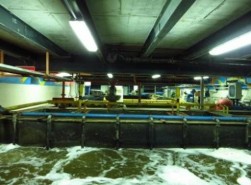 تصفیه فاضلاب بیمارستانی