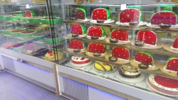 تولیدکننده انواع یخچال های صنعتی