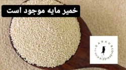 Selling all kinds of instant dry yeast