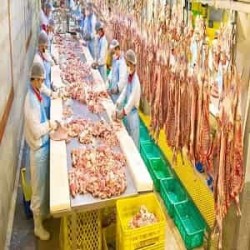 Acidic foam detergent to eliminate sediments in industry