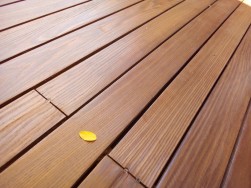 Termwood, plastic wood, plywood and cement board restoration services.