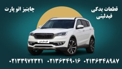 Fidelity Dignity Lamari spare parts