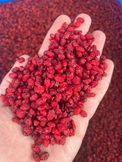 زرشک پفکی اعلا صادراتی خراسان جنوبی