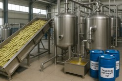 Terry sodium phosphate for transparency and production of sugarcane extract