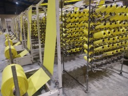 PP Roll Production of Factory with Your Technical Specifications