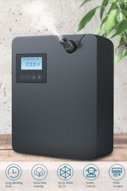 Essential Essential Oil of the Special Buy Special Hotel and Shop