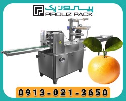 Orange packing machine; Keeping freshness, shine of the product