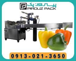 Capsicum packing machine; A smart step to maintain freshness and increase the profits of producers