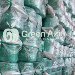 Production and Export of Greenhouse Twine to Iraq