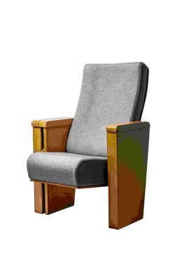 Specialized Sale of Amphitheater and Conference Chair Model R-1641-5