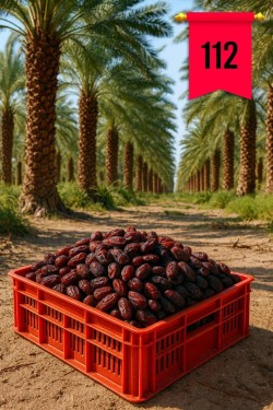 سبد خرمایی سبد بسته بندی خرما سبد حمل خرما سبد قارچ سبد لبنیاتی