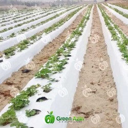 تولید و صادرات مالچ ضد علف هرز مخصوص تاکستان