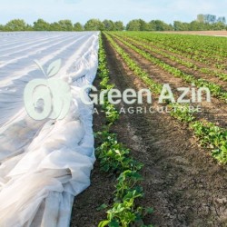 فروش و صادرات اسپان باند کشاورزی و کاور ضد سرما