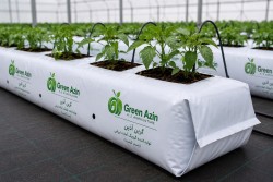 Ready Iranian Grow Bag for Sale