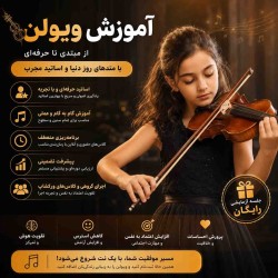 Violin Training from Beginner to Professional