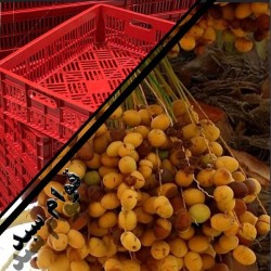 سبد خرمایی ؛جعبه حمل خرما ؛سبد میگو