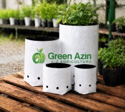Grobag Production and Export