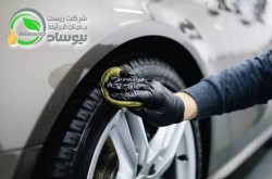 Neosad Tire Shine