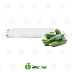 Production and Export of High-Quality Perforated Cucumber Mulch