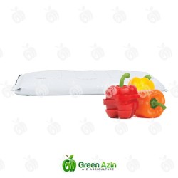 Production and Export of High-Quality Perforated Bell Pepper Mulch with Guaranteed Quality