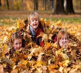 ارائه خدمات ترجمه