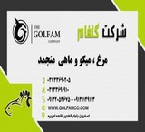The sale of food پروتوئینی in any tonnage in the company of golfam