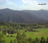 Land in the highlands, hot, Gilan