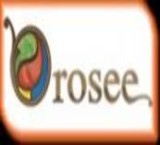 شرکت ارسی ( درب و پنجره سنتی ) - WWW.OROSEE.BIZ