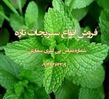 فروش انواع سبزیجات تازه  به صورت عمده