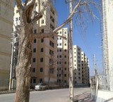 واگذاری ملک در شهرک ابریشم
