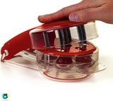 هسته گیرشش تایی آلبالو