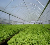 Nylon three-layer greenhouse