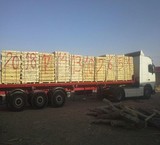 شبکه  تولید و توزیع  چوب و تخته ایرانی و روسی