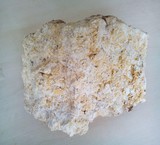 فسیل صدف معدنی