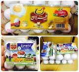 خرید و فروش تخم مرغ فله و بسته بندی