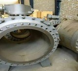 شیر توپی اسپانیایی