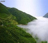 Reserve and rent a variety of villas with well-equipped facilities in the north