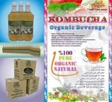 تولید کننده نوشیدنی سنتی کامبوچا