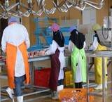 فروش کارخانه مناسب بسته بندی و فرآوری محصولات گوشتی