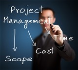 Management and control of industrial projects with MSP software