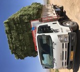 Buy and sell hay save