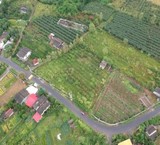 فروش زمین در شمال