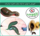 Workshop on reproduction and development زالوی medical