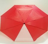 Umbrella promotional special